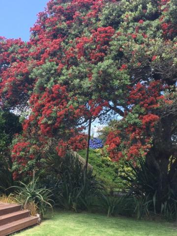 Absolute Waterfront Serenity Near Auckland Clarks Beach Exterior photo